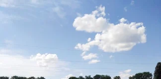 la bataille culturelle des écologistes