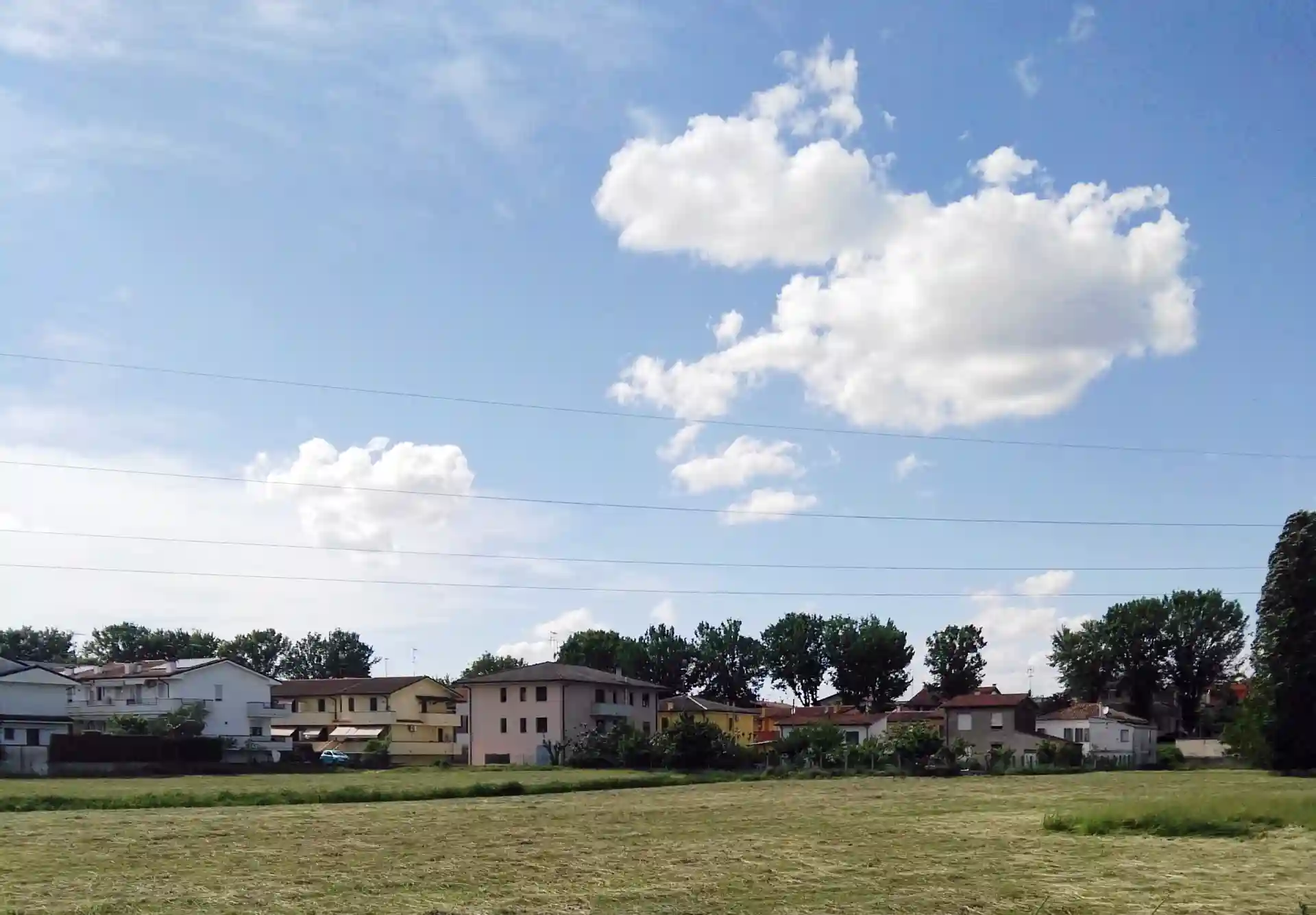 la bataille culturelle des écologistes