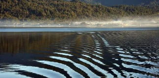 La cour d'appel de Bordeaux autorise la création de 22 réserves d'eau