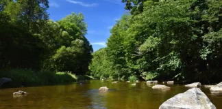 Les lessives responsables de la pollution au glyphosate des rivières