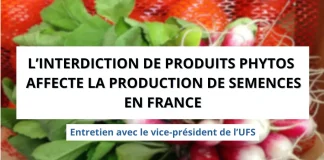 interdiction phyto affecte production semences (1)