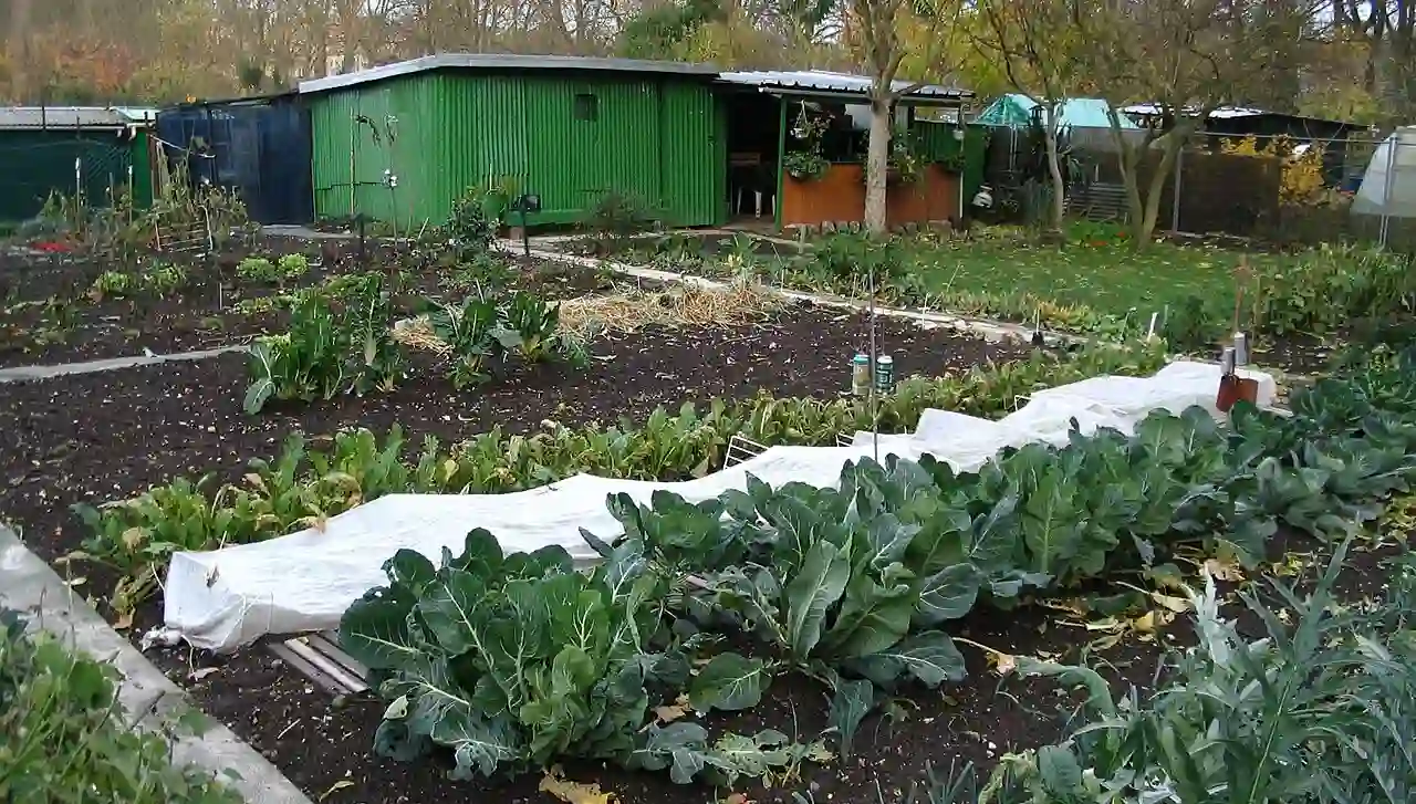 jardins familiaux laboratoires biodiversite