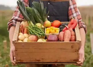 Agriculture bio 4 scénarios pour un avenir incertain