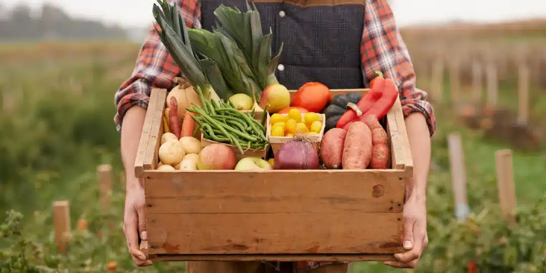 Agriculture bio 4 scénarios pour un avenir incertain