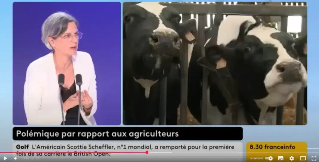 Polémique rentabilité des agriculteurs Sandrine Rousseau