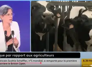 Polémique rentabilité des agriculteurs Sandrine Rousseau