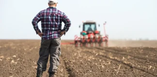 Revenu des agriculteurs : Céline Imart : « Je ne comprends pas la position des coopératives... »
