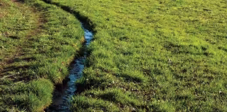 drainage agricole productivite environnement