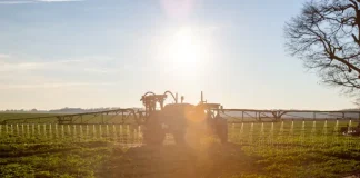 Engrais azotés de synthèse : un bilan carbone surestimé