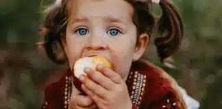 Mercosur consommation pommes ANPP