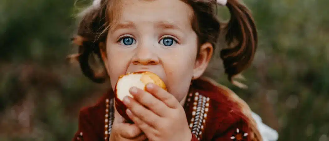 Mercosur consommation pommes ANPP