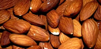 amande L’Autorité de la concurrence saisie pour abus de position dominante environnementale