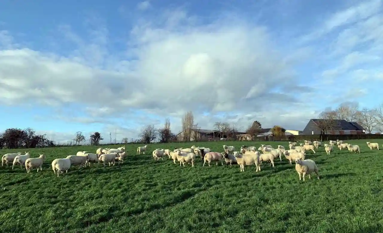 La ferme France en deroute