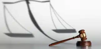 corinne Lepage strategie judiciare