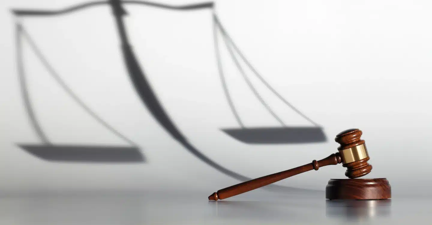 corinne Lepage strategie judiciare