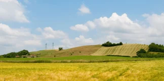 loi urgence agricole validée