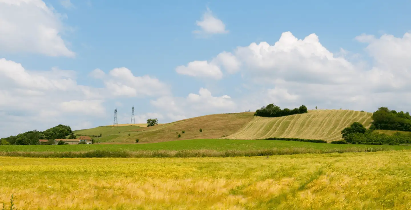 loi urgence agricole validée